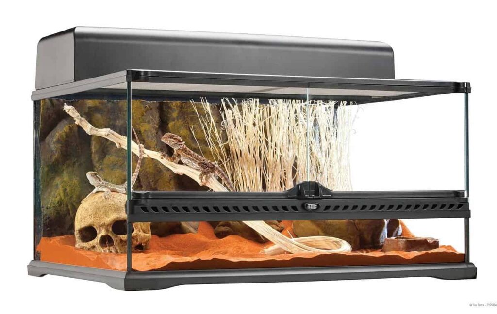 Guía completa para un terrario perfecto: crea un hogar ideal para tu gecko en casa