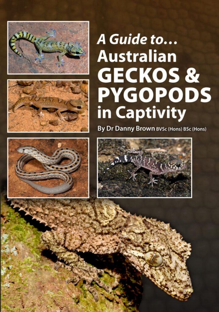 Guía definitiva de los hábitats naturales de los geckos en Australia
