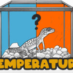 Maximiza la cría de geckos con la temperatura ideal - Guía completa