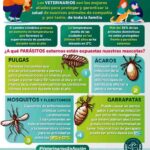 Tipos de parásitos en geckos y cómo proteger a tu mascota
